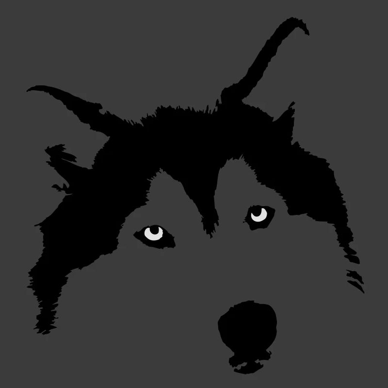husky