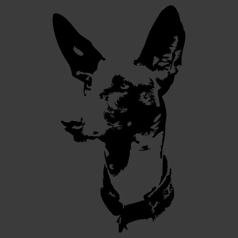 Tête de podenco