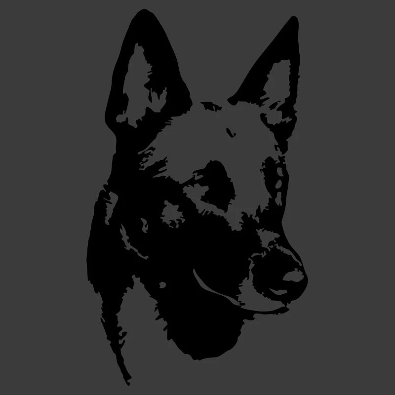 Malinois Kopf