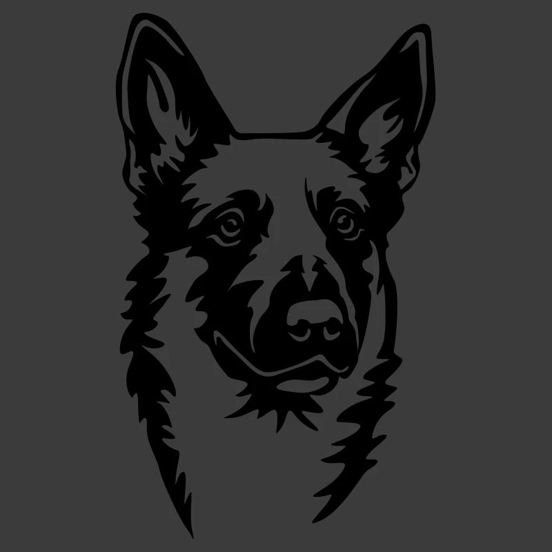 Malinois Kopf