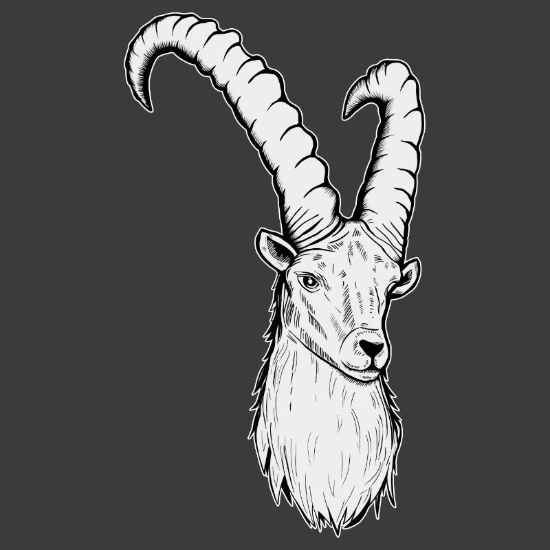 Steinbock Sternzeichen