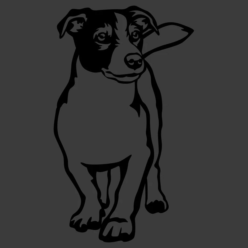 Jack Russell Terrier
