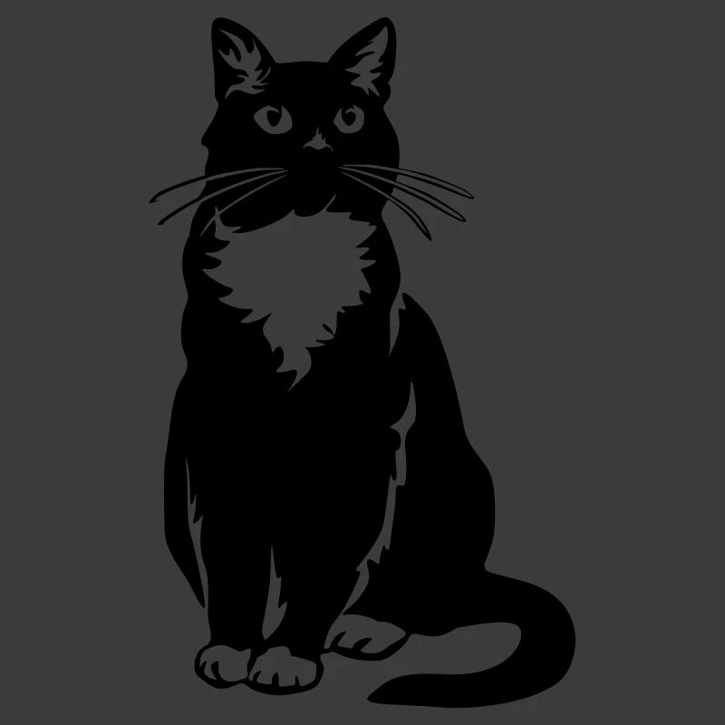 Tuxedo Katze