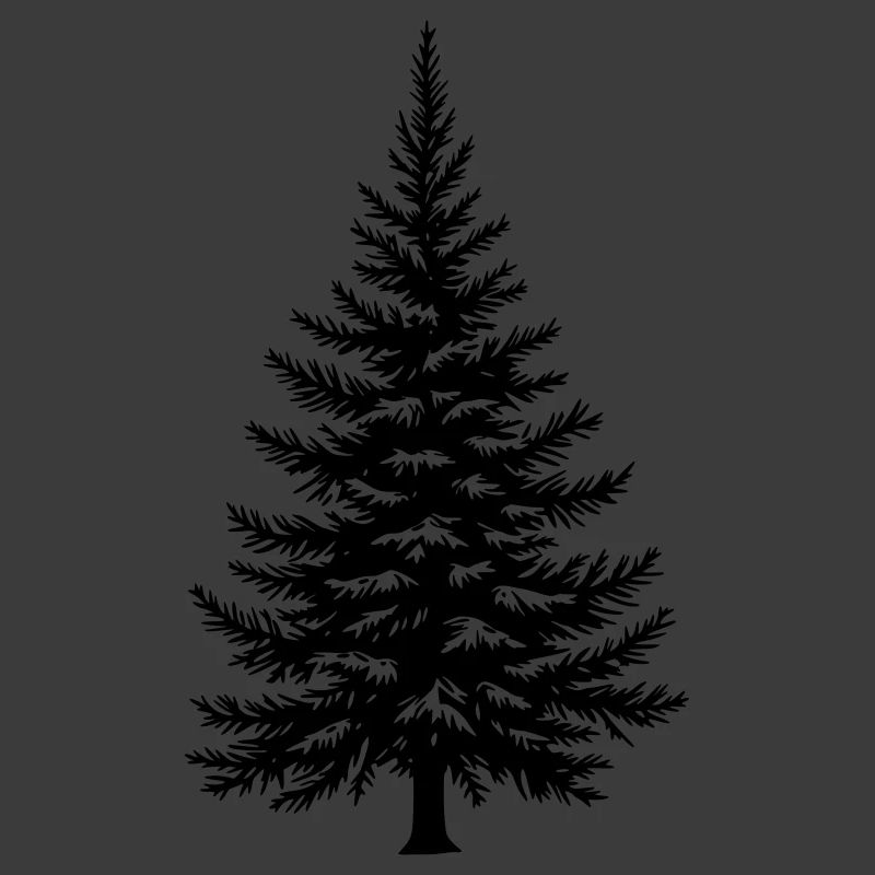 Tree Spruce Fir Conifer Vector