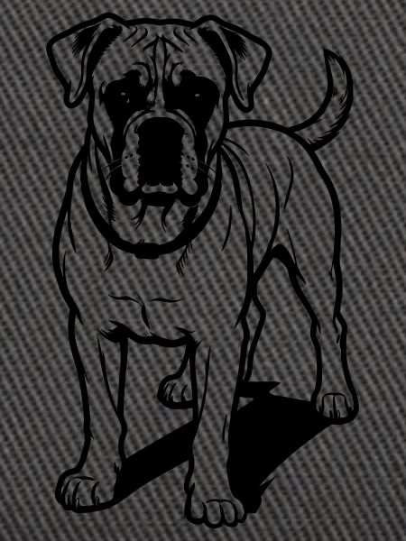 Boxerhund