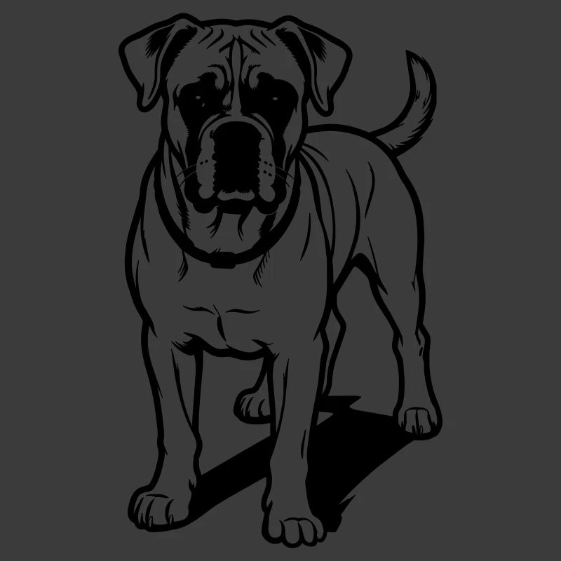 Boxerhund