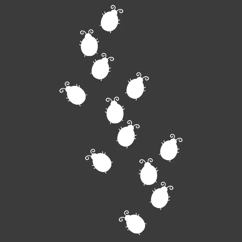 Bug Race