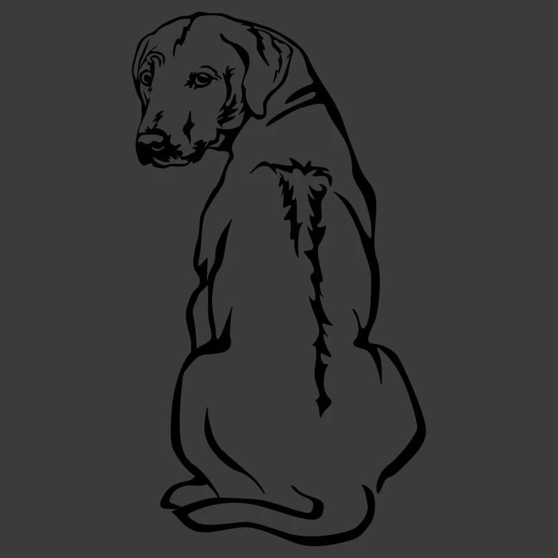 Rhodesian Ridgeback
