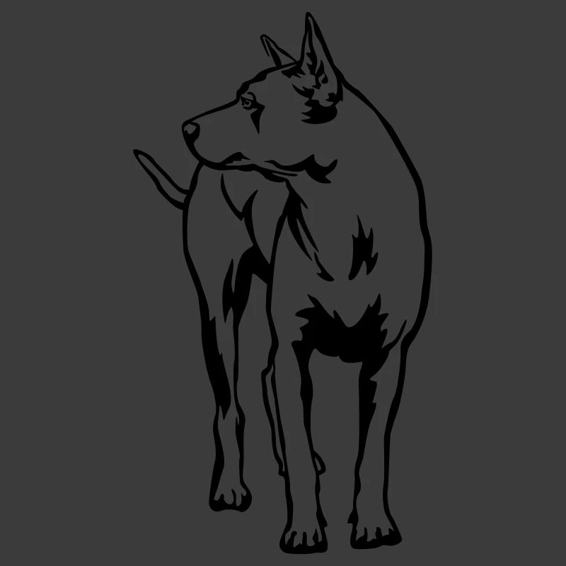 Thaï Ridgeback