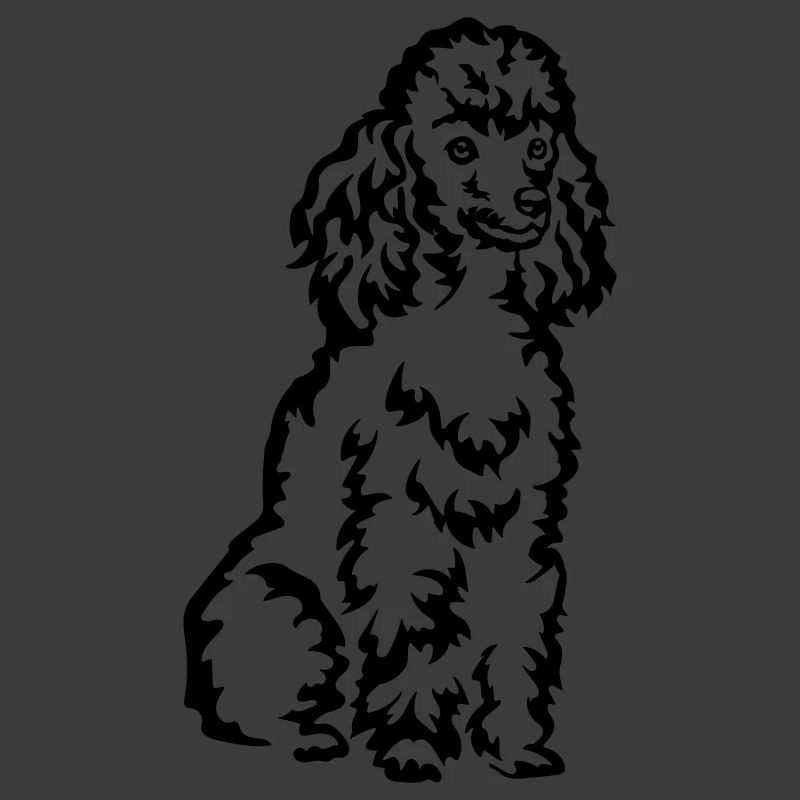 Poodle
