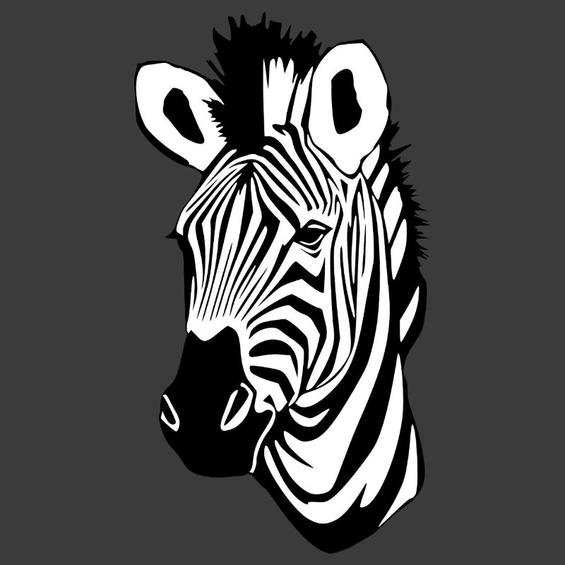 Zebra Zebrakopf T-shirt Geschenk