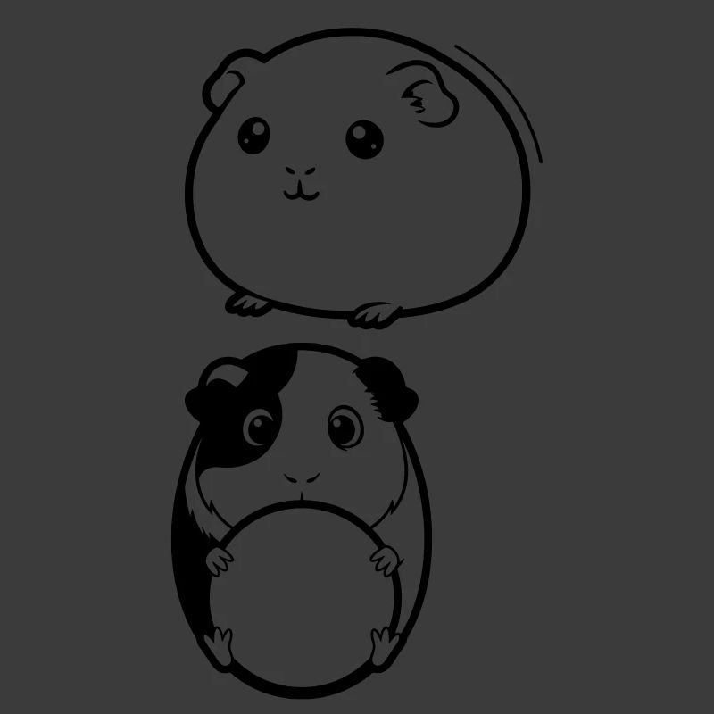  Zwei Meerschweinchen Köpfe