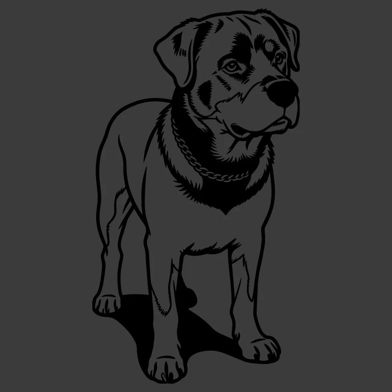 Chien rotweiler