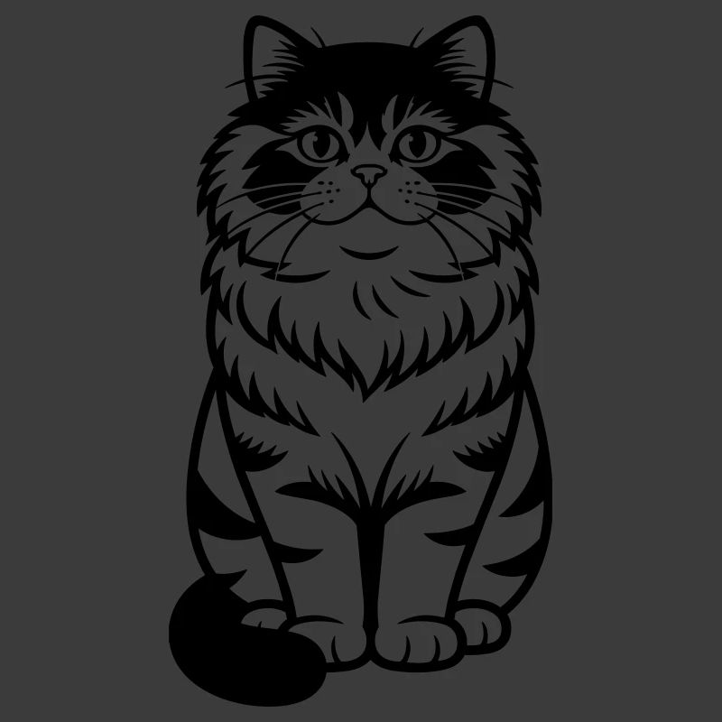 Chat persan