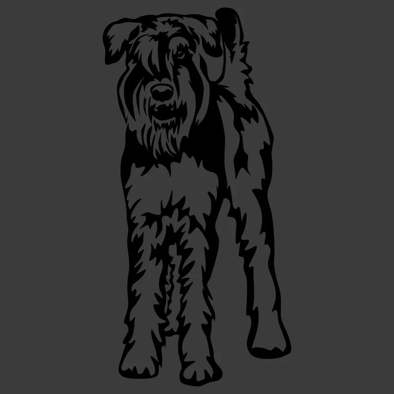 Schnauzer géant