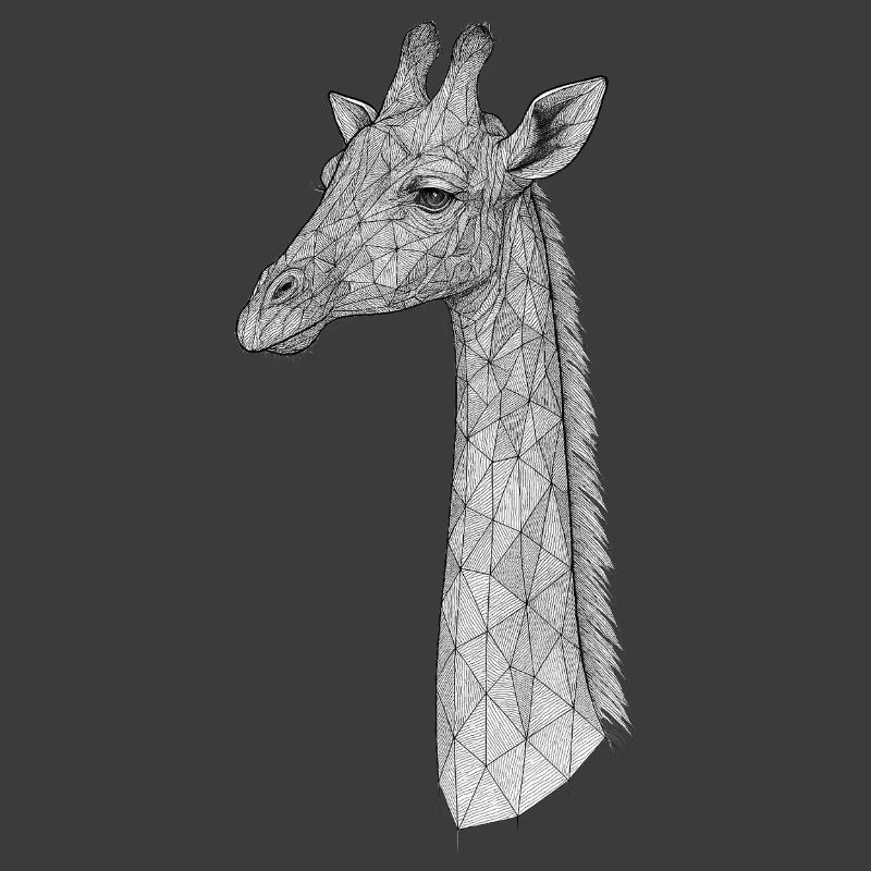 Geometric Giraffe Line
