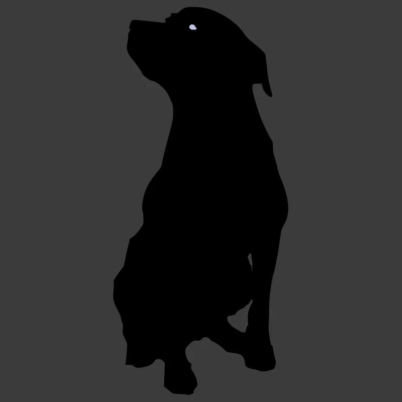 Hund