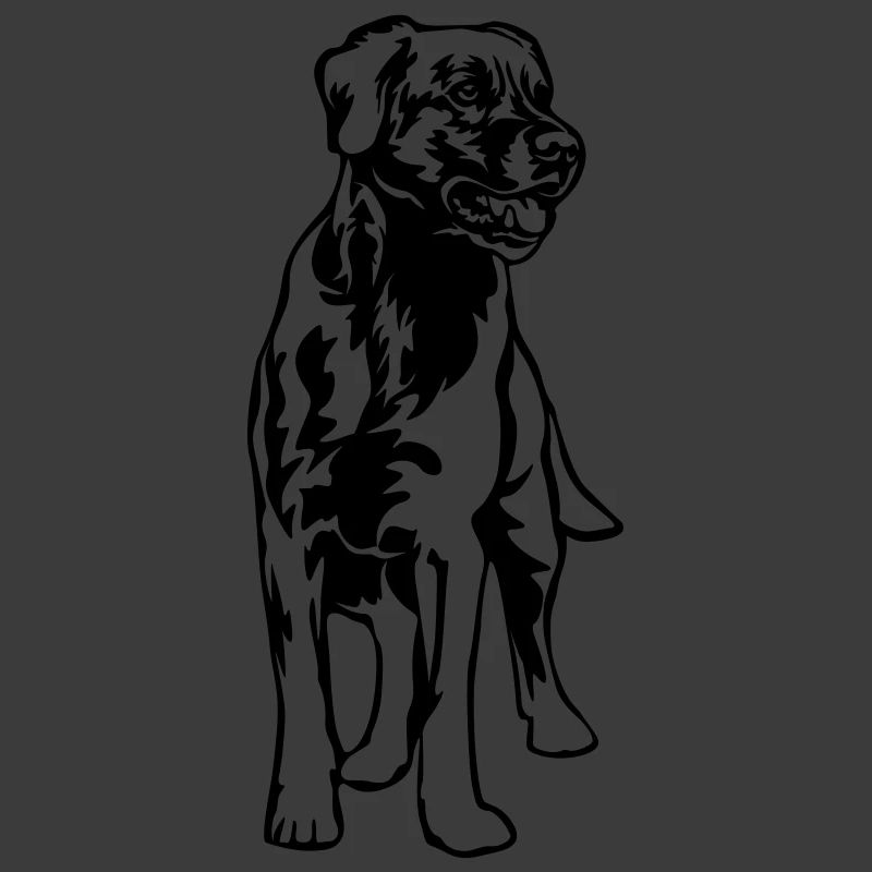 Labrador