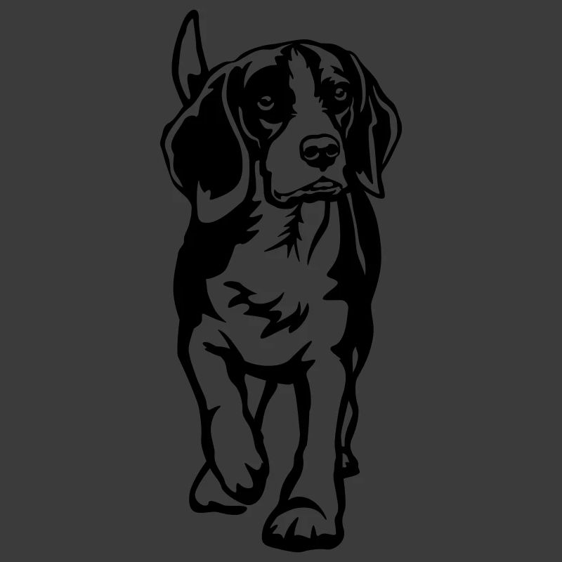 Beagle