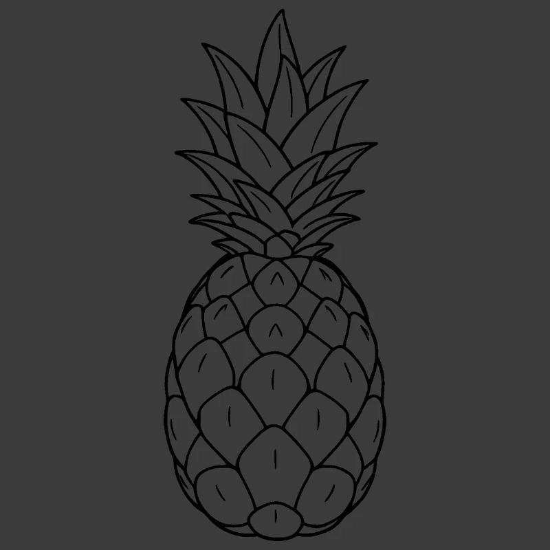 Minimalistic Pineapple