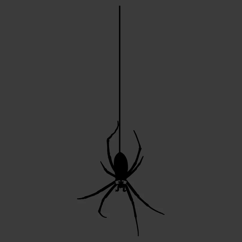 Die Spinne