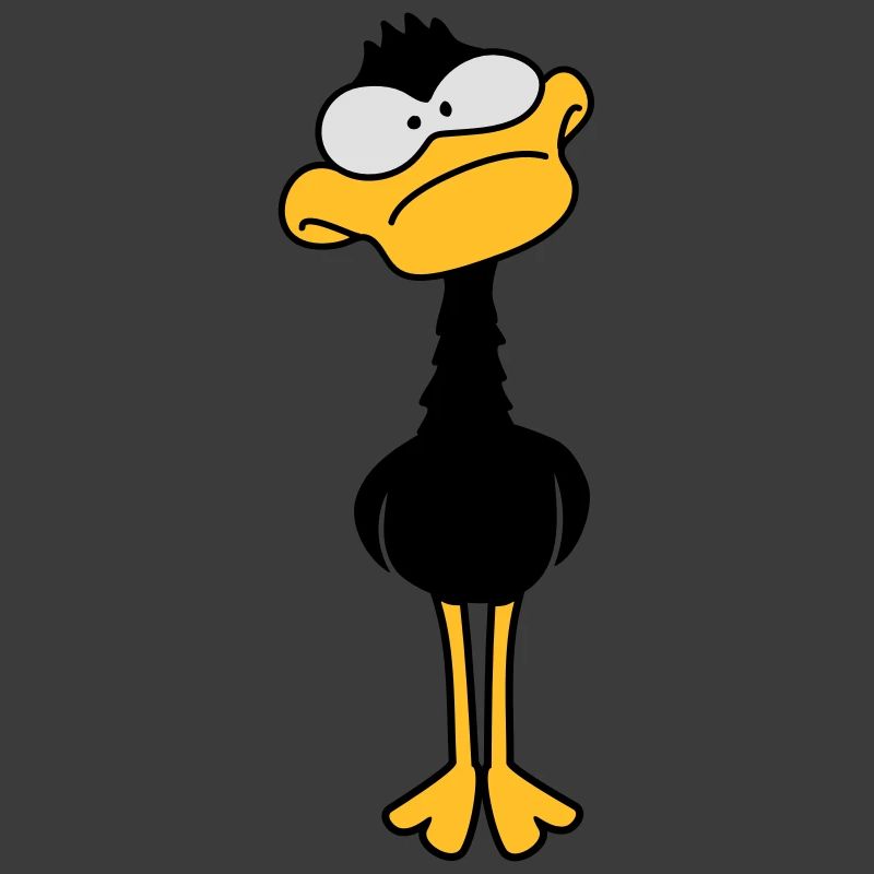 Funny Duck