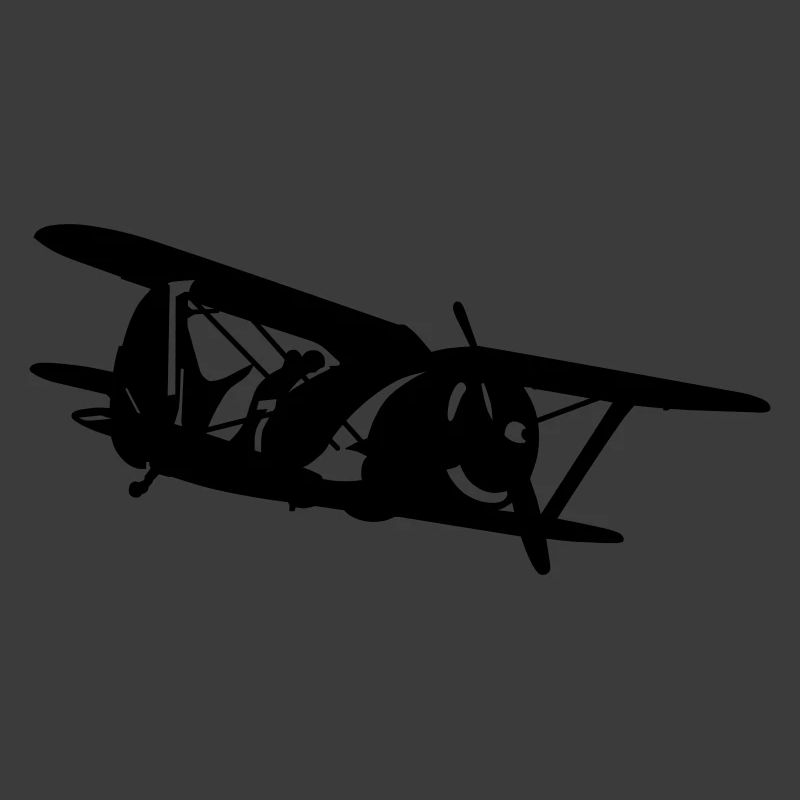 Biplane i-153