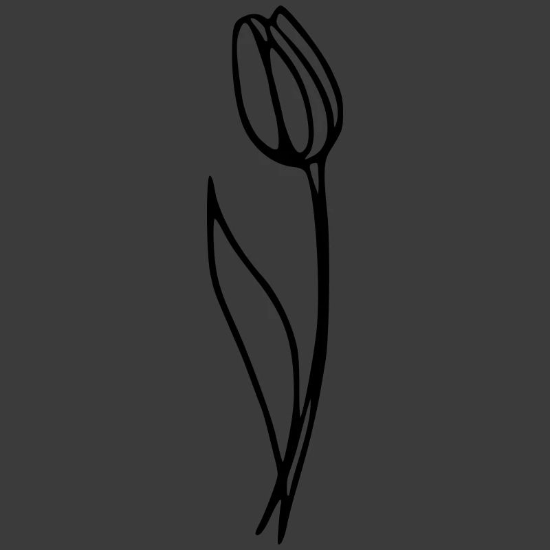 Tulipe
