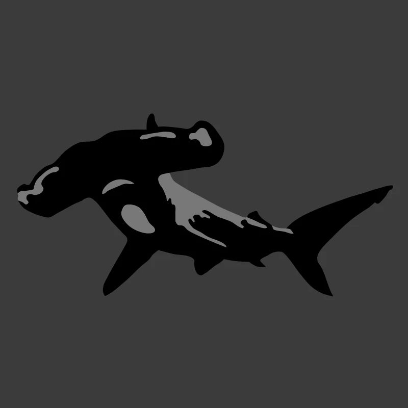 hammerhai
