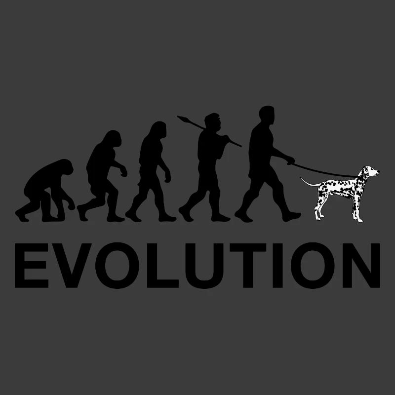 évolution