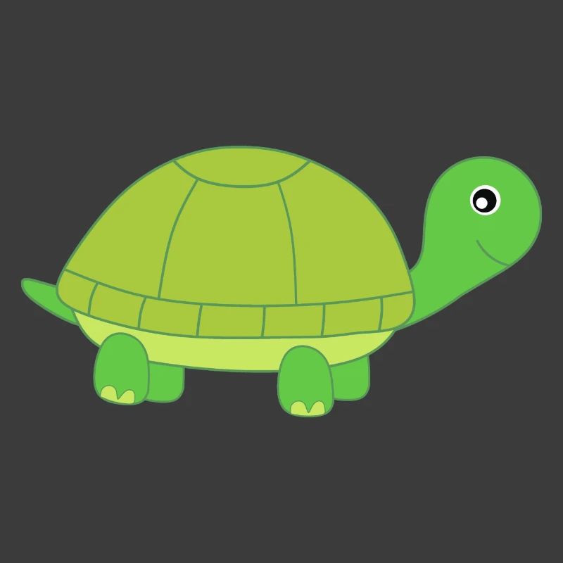 Turtle Turtles