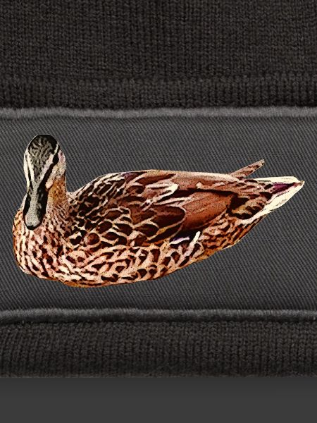 wasservögel, Stockente