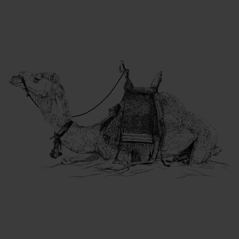 Camel