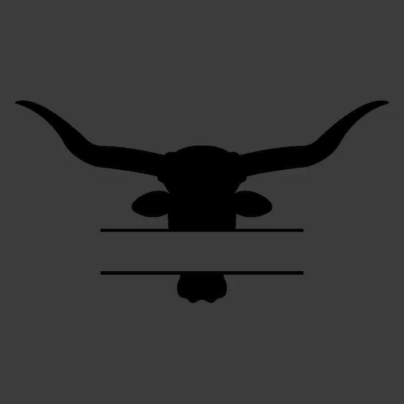 Longhorn split frame