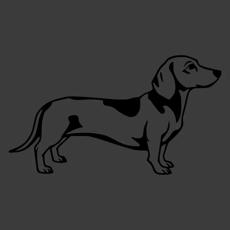 Dachshund schwarz