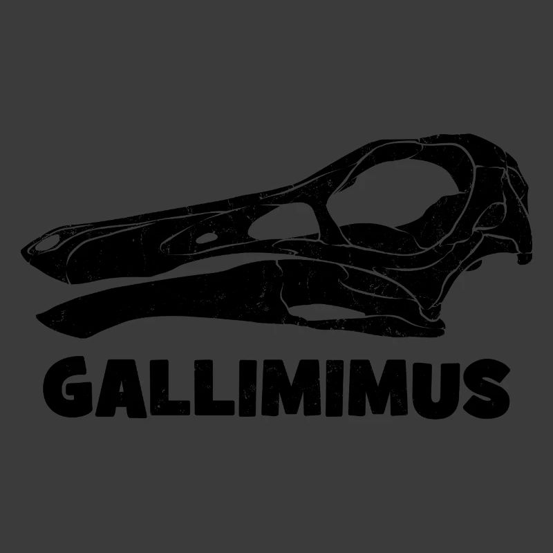 Gallimimus Schädel Fossil