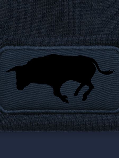 stier