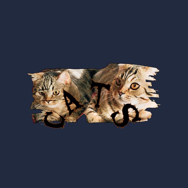 Katzen-Collage: Zerrissene Fellkunst