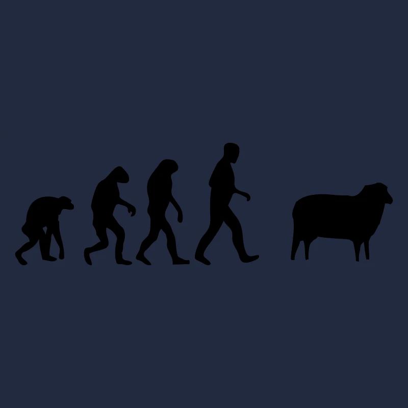 mouton evolution