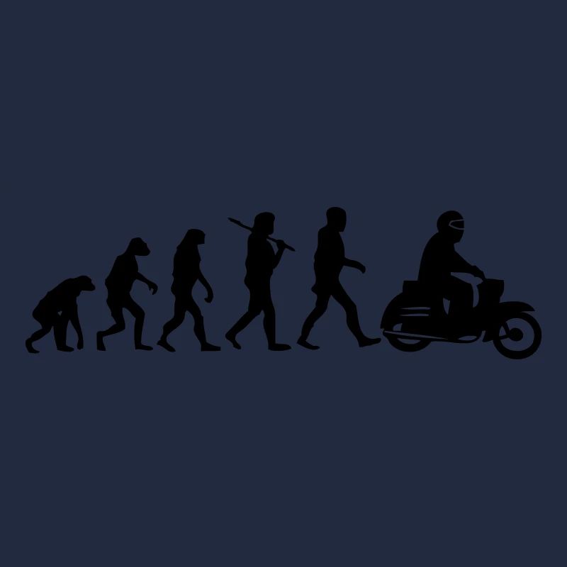 schwalbenevolution