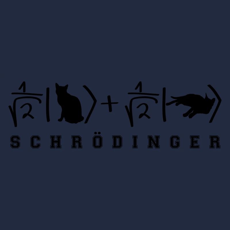 Quantenphysik Schrödinger Katze