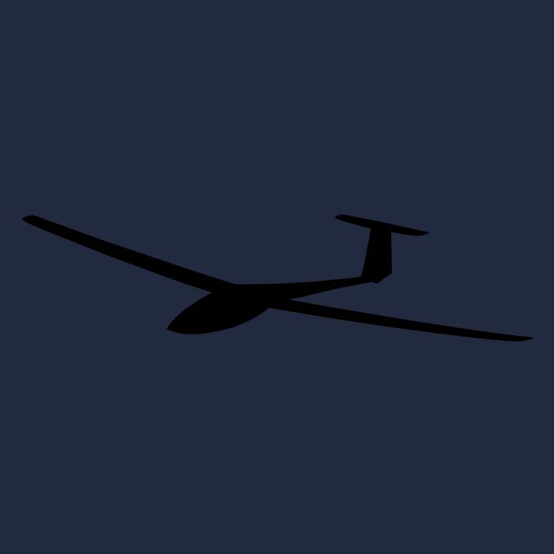 ASW 19