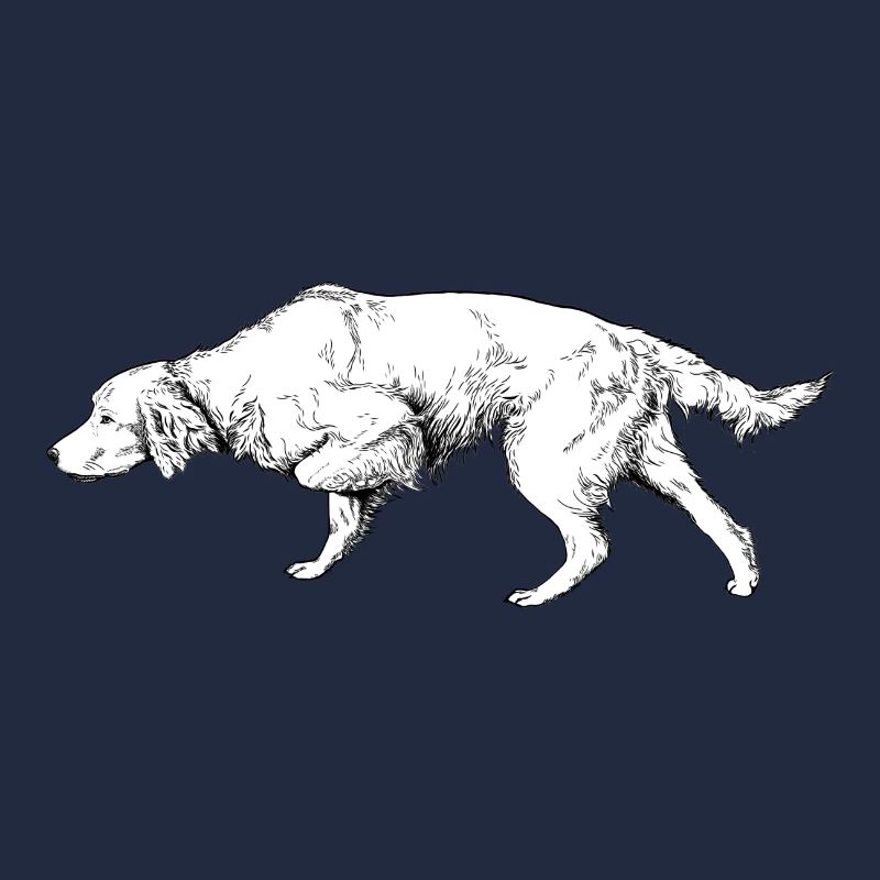 Setter ci-dessus