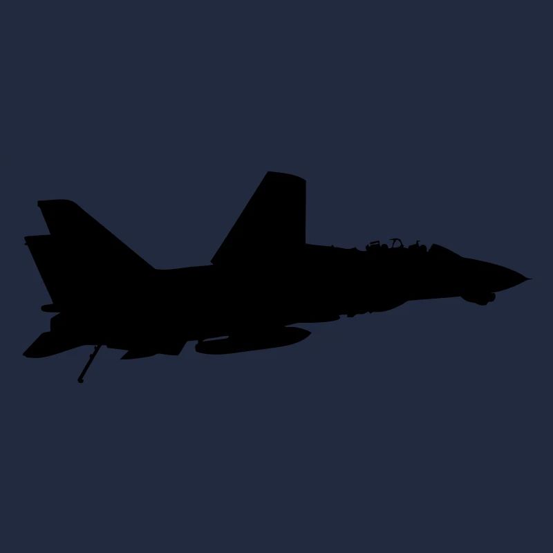 F-14 Tomcat
