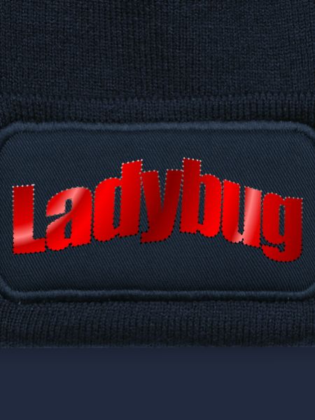 Dezentes Logo Ladybug 