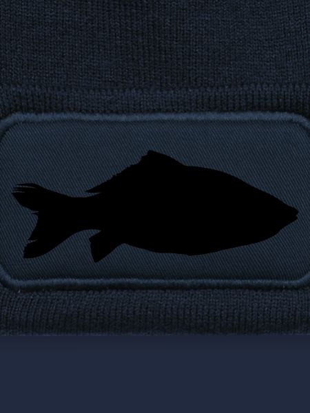 fish carp silhouette