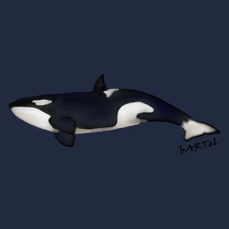 Orca 2