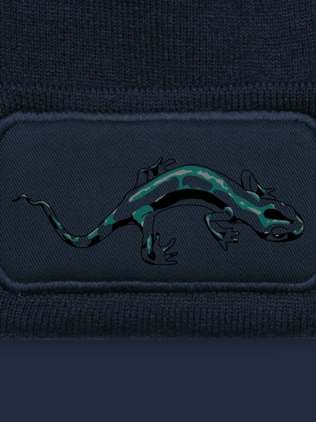Salamandre