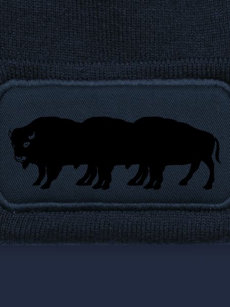 bisons