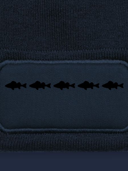 barsch fische silhouette